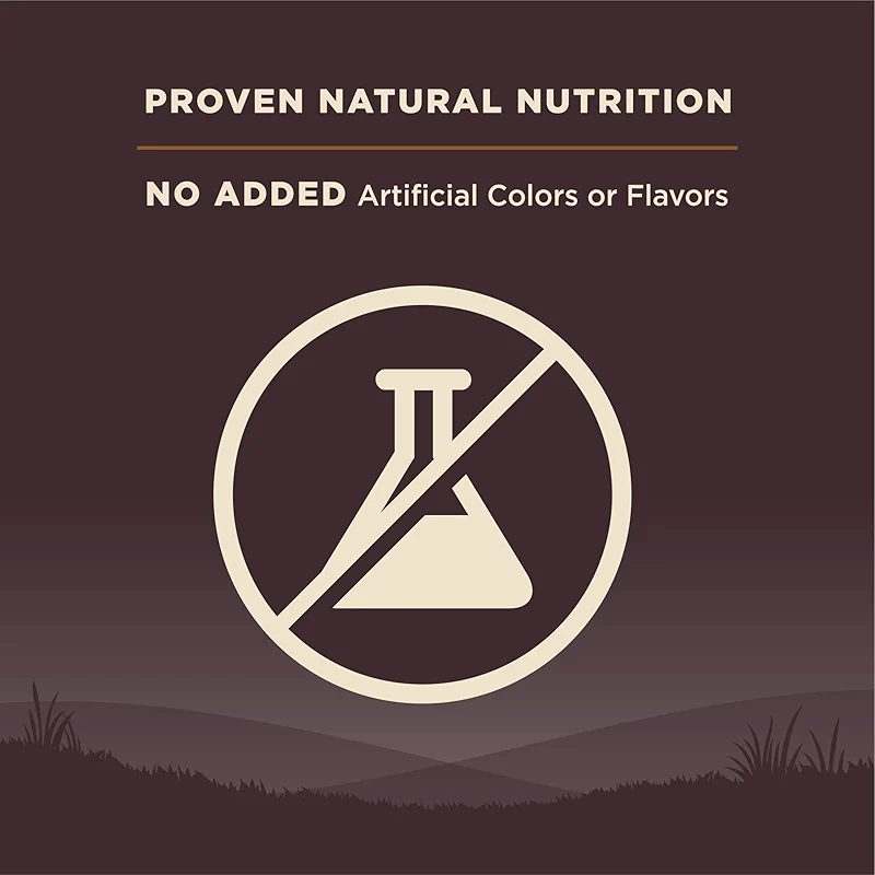 Wellness CORE Dry Dog Food — image 4