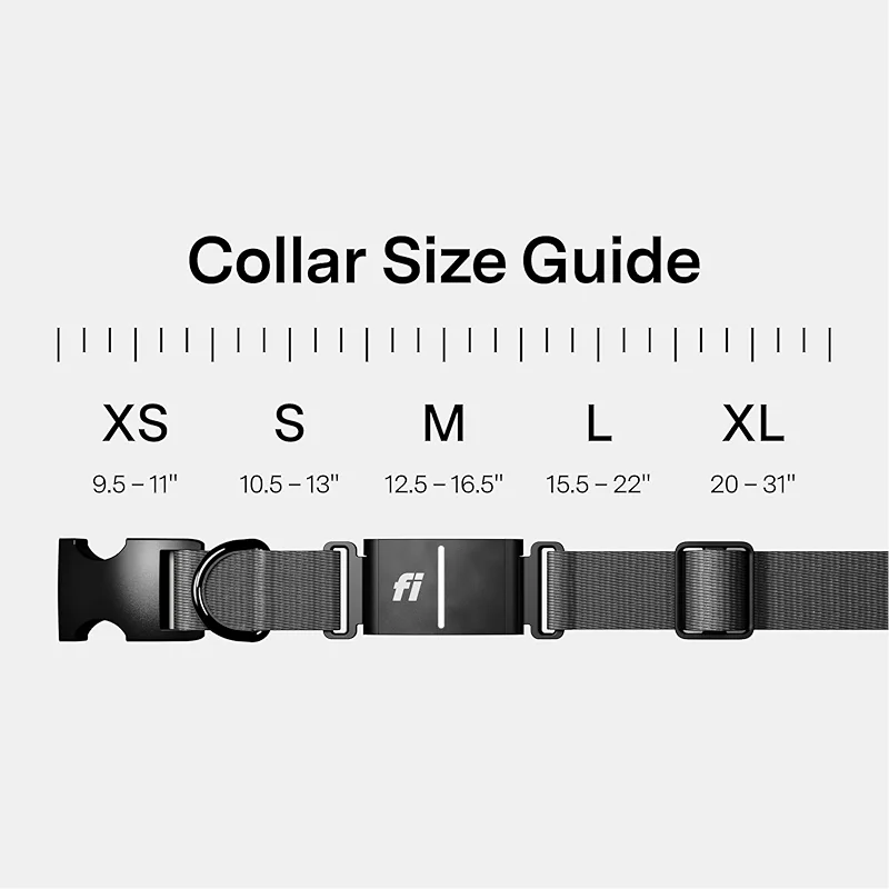 Fi New Series 3+ Smart Dog Tracker Collar [12 Month Membership Included] — image 1