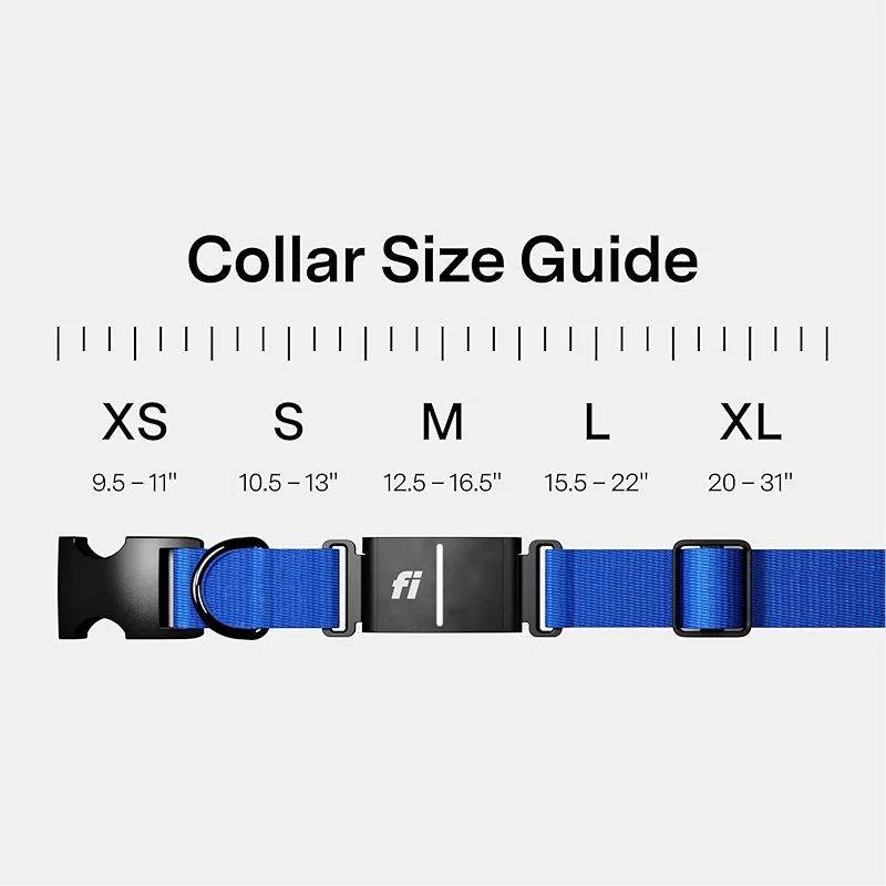 Fi New Series 3+ Smart Dog Tracker Collar [6 Month Membership Included]