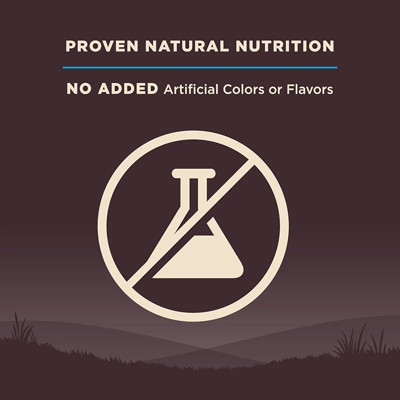 Wellness CORE Adult Dry Dog Food — image 4