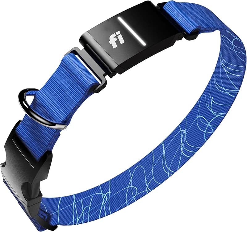 Fi New Series 3+ Smart Dog Tracker Collar [6 Month Membership Included] — image 4