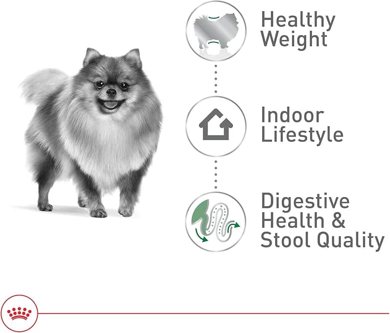 ROYAL CANIN Size Health Nutrition Small Indoor Adult Dry Dog Food