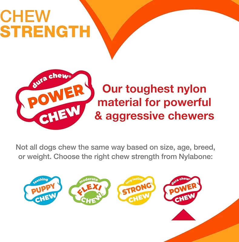 Nylabone Power Chew Toy Bundle — image 2