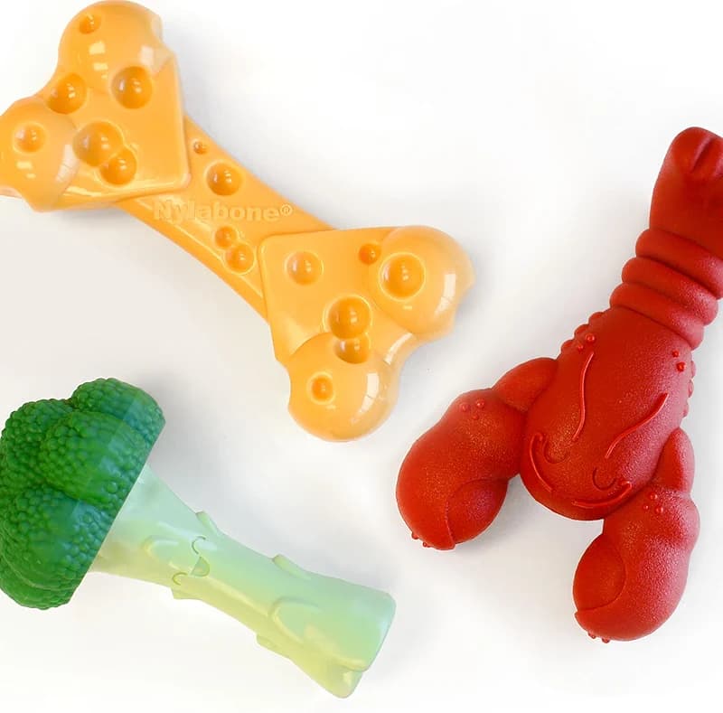 Nylabone Power Chew Toy Bundle — image 5