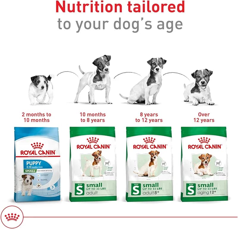 ROYAL CANIN Size Health Nutrition Small Adult Dry Dog Food — image 3