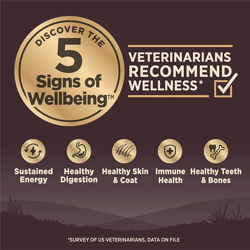 Wellness CORE Dry Dog Food