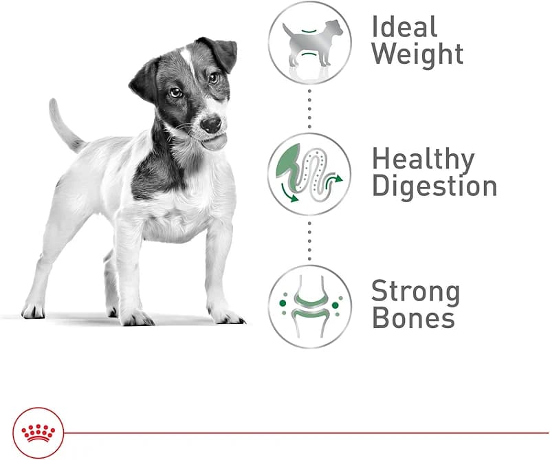ROYAL CANIN Size Health Nutrition Small Adult Dry Dog Food
