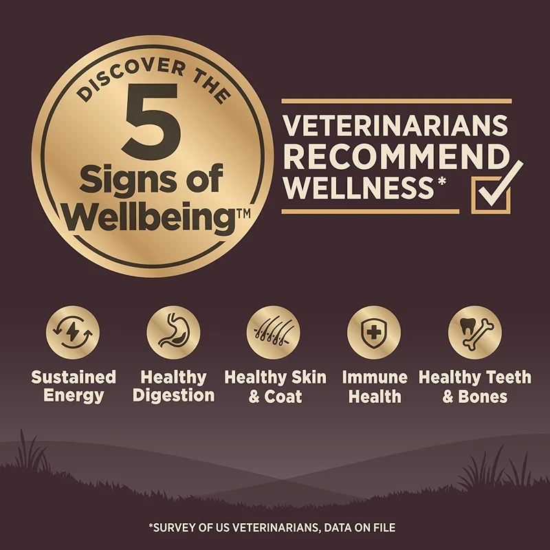 Wellness CORE Adult Dry Dog Food — image 2