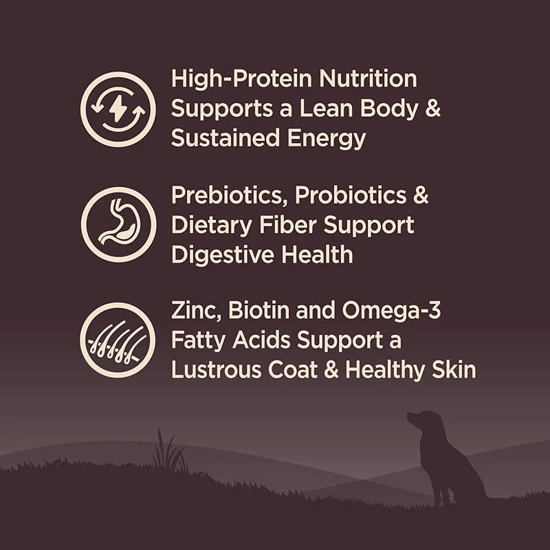 Wellness CORE Adult Dry Dog Food — image 7