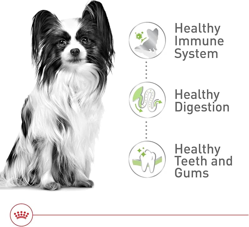 ROYAL CANIN Size Health Nutrition X-Small 7+ Adult Dry Dog Food — image 3
