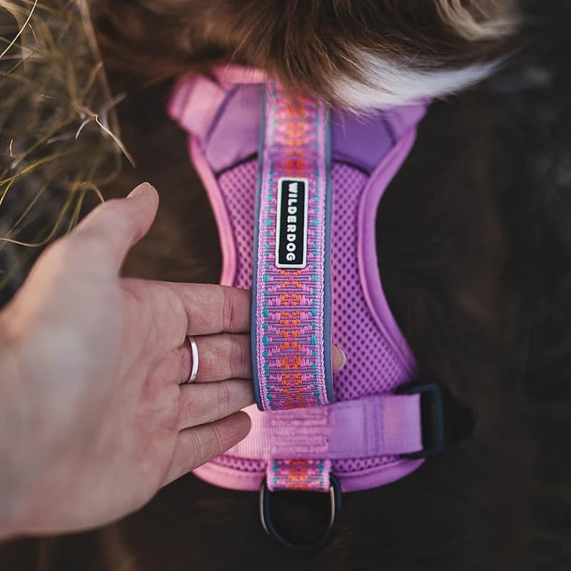 Wilderdog Lightweight Dog Harness with Reflective Straps - Medium - Lilac — image 7