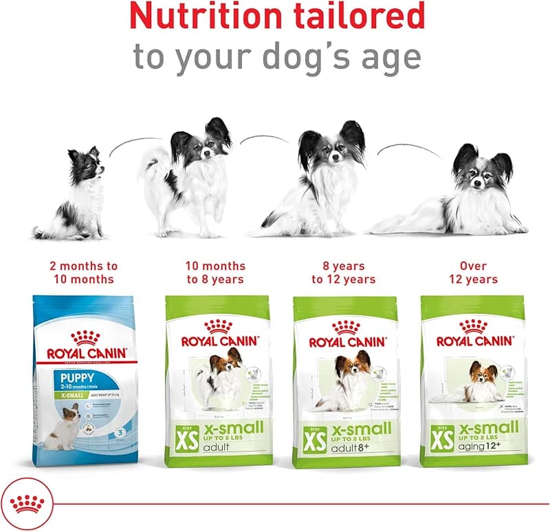 ROYAL CANIN Size Health Nutrition X-Small 7+ Adult Dry Dog Food — image 2