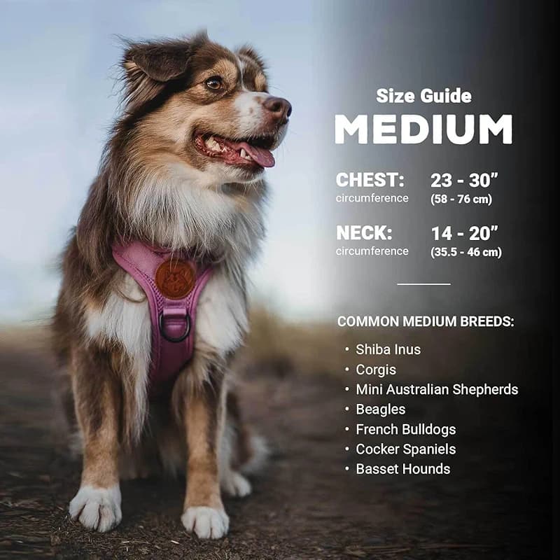 Wilderdog Lightweight Dog Harness with Reflective Straps - Medium — image 5