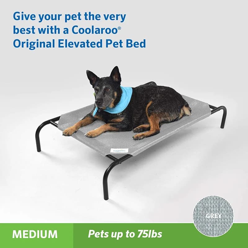 Coolaroo Original Elevated Dog Bed - Breathable Off-The-Ground Pet Bed — image 3