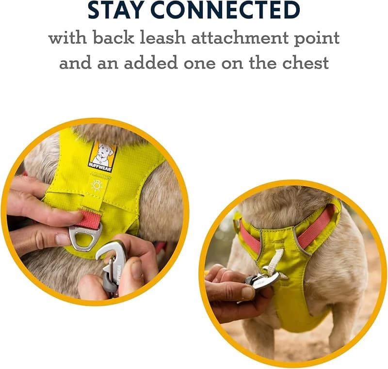 Ruffwear Hi & Light — image 4