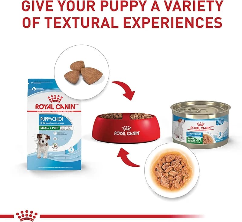 ROYAL CANIN Size Health Nutrition Small Puppy Dry Dog Food — image 4