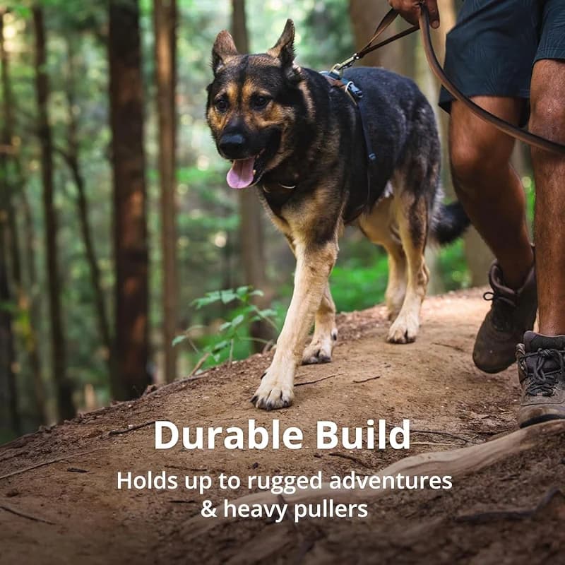Ruffwear Front Range Dog Harness — image 7