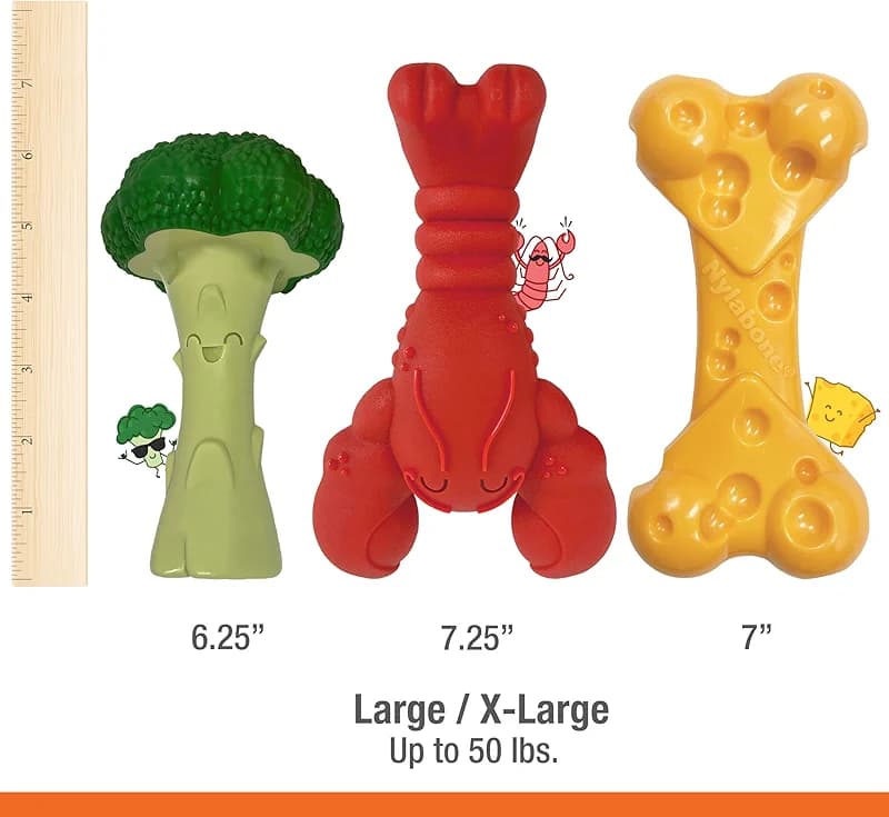 Nylabone Power Chew Toy Bundle — image 4