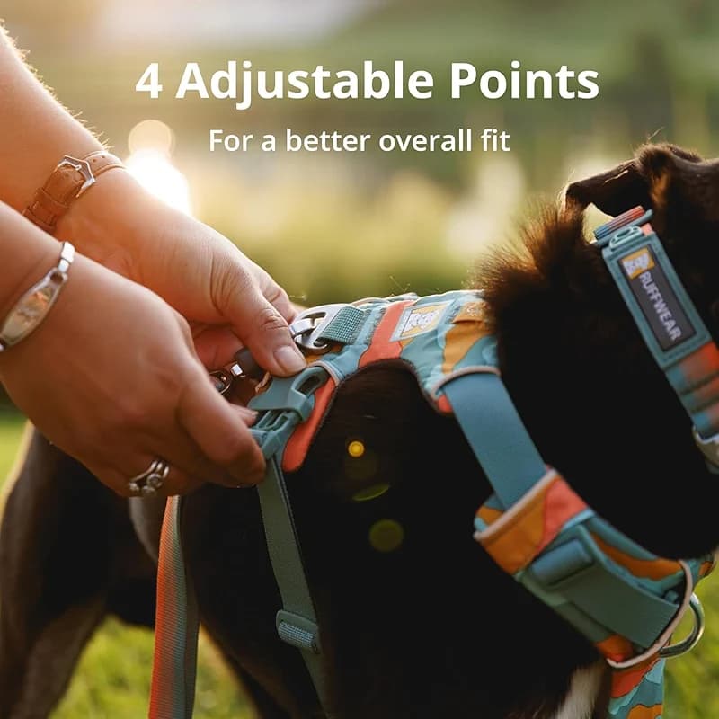 Ruffwear Front Range Dog Harness — image 6