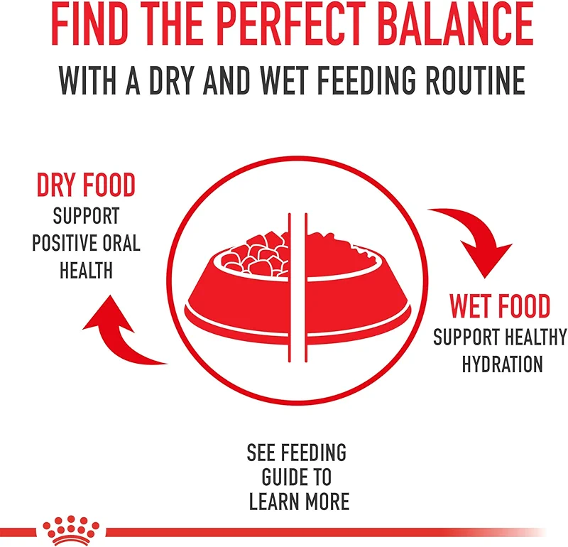 ROYAL CANIN Size Health Nutrition X-Small 7+ Adult Dry Dog Food