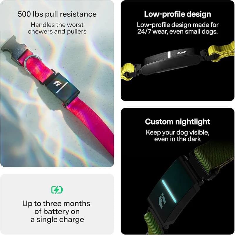 Fi New Series 3+ Smart Dog Tracker Collar [12 Month Membership Included] — image 8