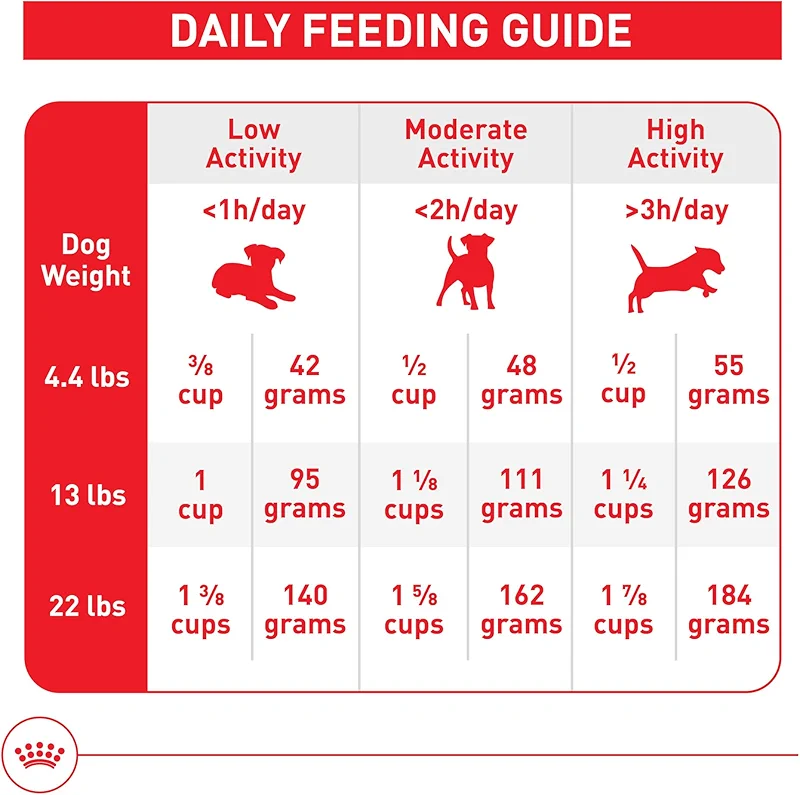 ROYAL CANIN Size Health Nutrition Small Indoor Adult Dry Dog Food — image 5