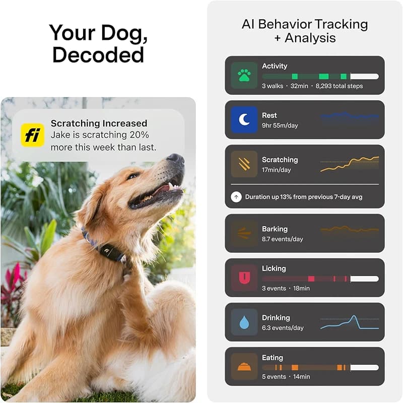 Fi New Series 3+ Smart Dog Tracker Collar [12 Month Membership Included] — image 6