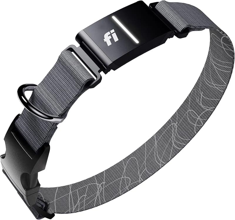Fi New Series 3+ Smart Dog Tracker Collar [12 Month Membership Included] — image 4