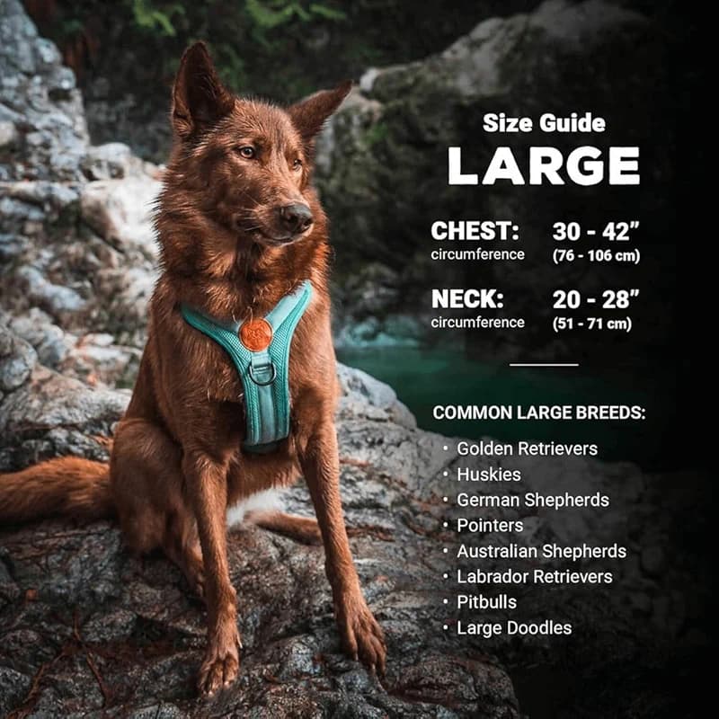 Wilderdog Lightweight Dog Harness with Reflective Straps - Large — image 6