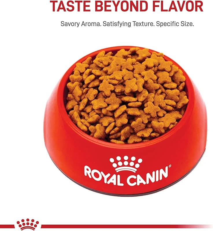 ROYAL CANIN Size Health Nutrition Small Adult Dry Dog Food — image 8
