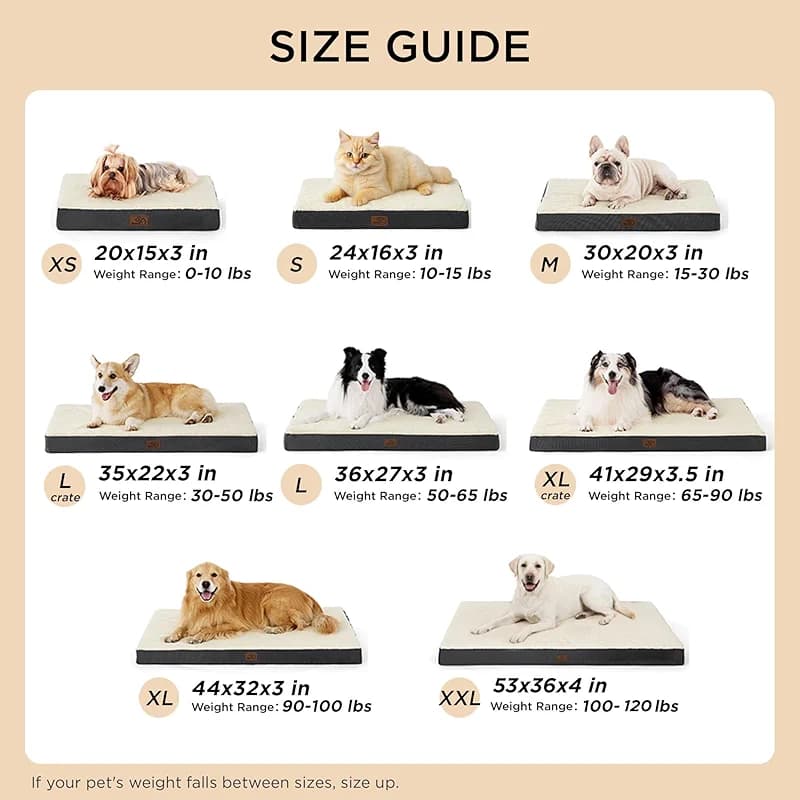 Bedsure Dog Beds Large Sized Dog - Comfy Flat Pet Beds with Removable — image 2