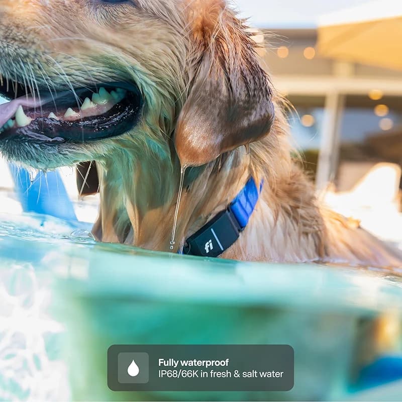 Fi New Series 3+ Smart Dog Tracker Collar [12 Month Membership Included] — image 7
