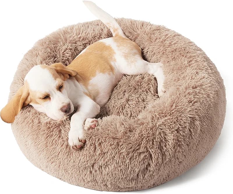 Bedsure Calming Dog Bed for Small Dogs - Donut Washable Small Puppy Bed — image 3