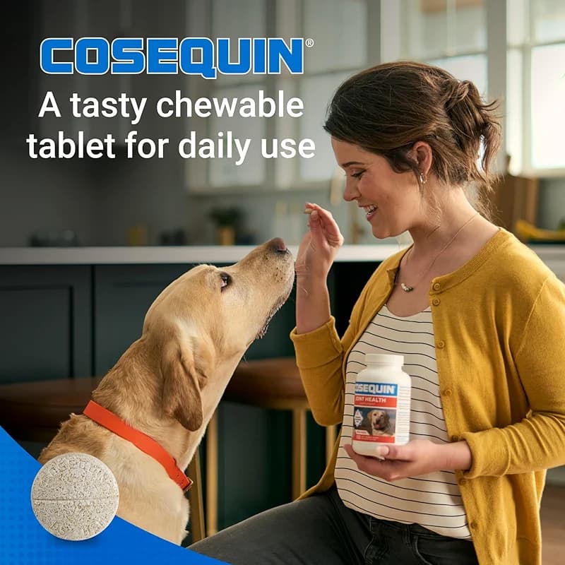Nutramax Cosequin for Dogs Joint Health Supplement — image 7