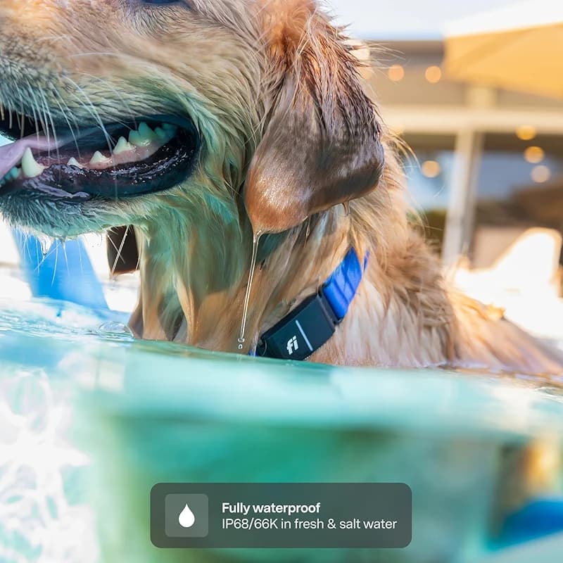 Fi New Series 3+ Smart Dog Tracker Collar [6 Month Membership Included] — image 7