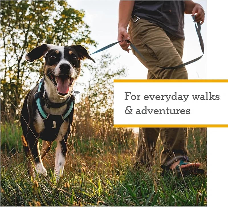 Ruffwear Hi & Light — image 7