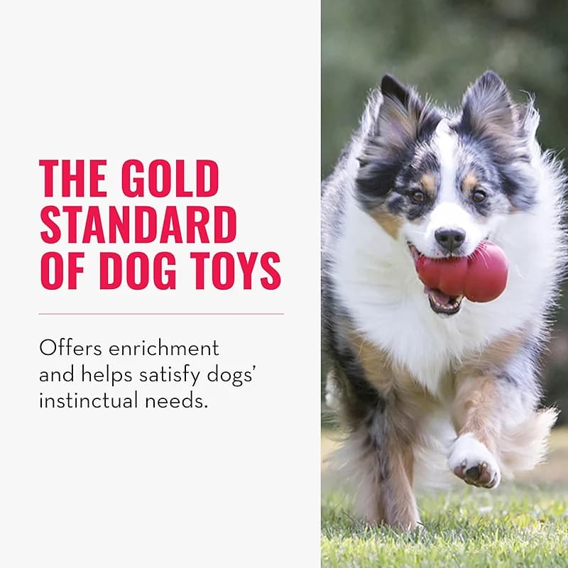 KONG Classic Stuffable Dog Toy - Fetch & Chew Toy for Dogs - Treat-Filling — image 4