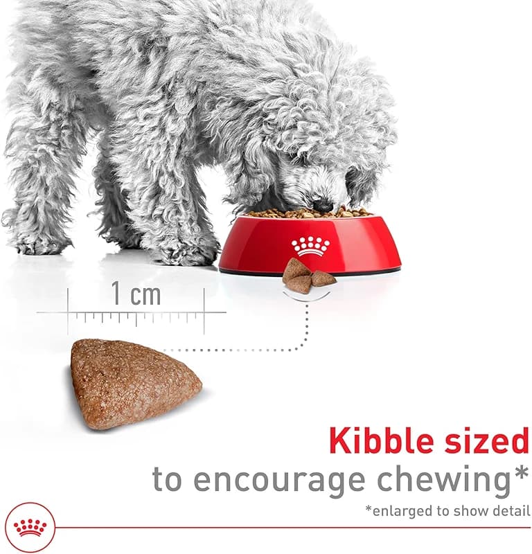 ROYAL CANIN Size Health Nutrition Small Indoor Adult Dry Dog Food — image 4