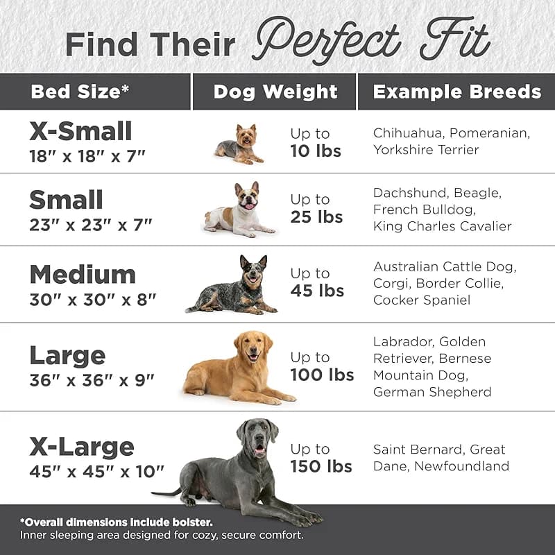 Best Friends by Sheri The Original Calming Donut Dog Bed for Medium Dogs — image 3