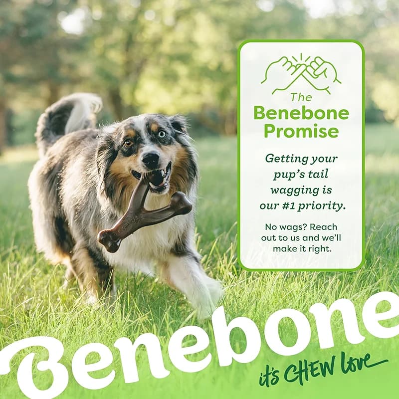 Benebone Wishbone Durable Dog Chew Toy for Aggressive Chewers — image 5