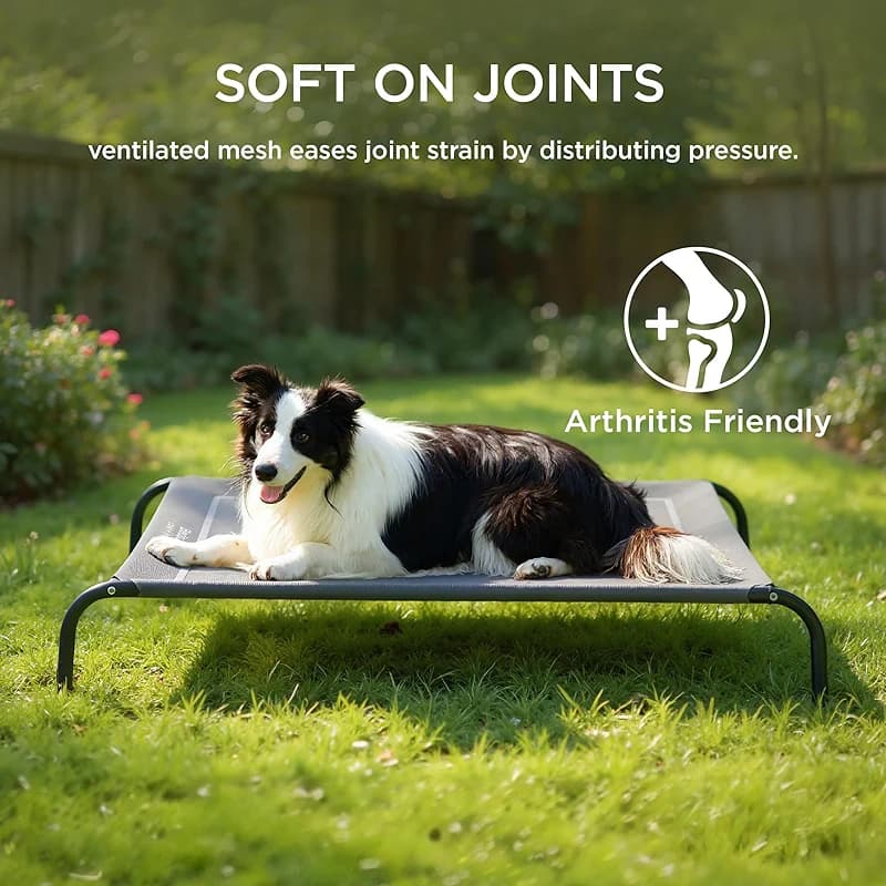 Bedsure Outdoor Elevated Dog Bed Large Sized Dog — image 6
