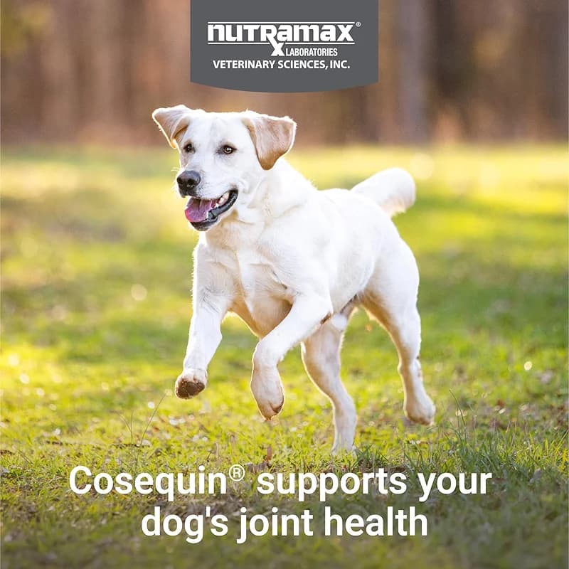 Nutramax Cosequin for Dogs Joint Health Supplement — image 3
