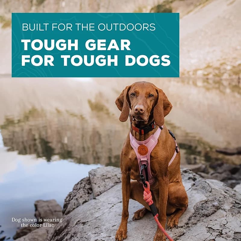 Wilderdog Lightweight Dog Harness with Reflective Straps - Medium - Lilac — image 3