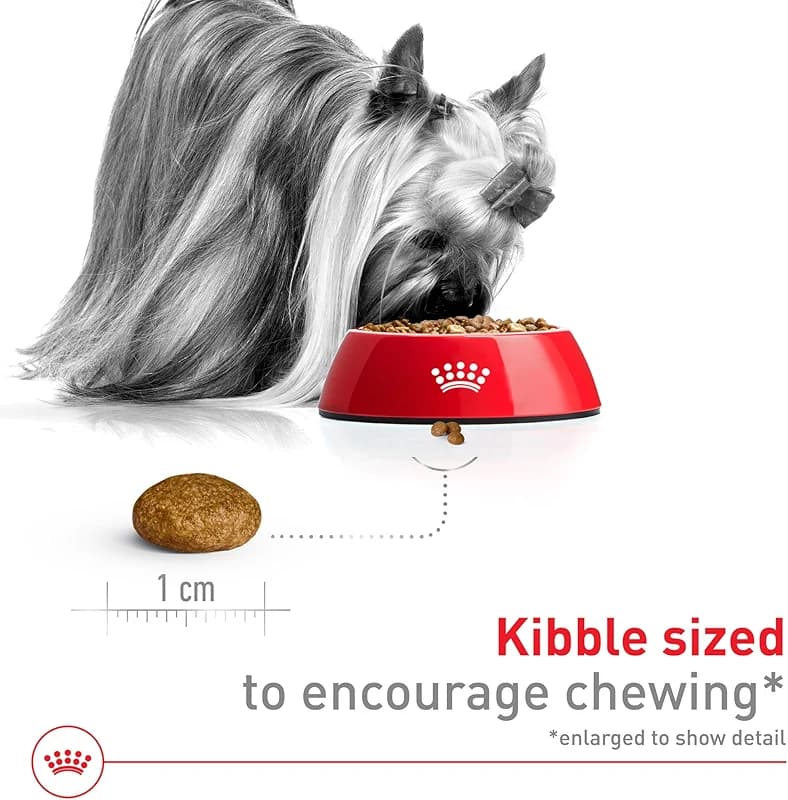ROYAL CANIN Size Health Nutrition X-Small 7+ Adult Dry Dog Food — image 6