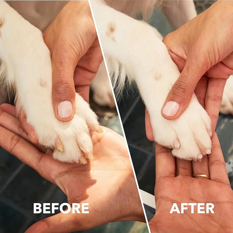 Dremel PawControl 7760-PET Dog Nail Grinder and Trimmer - Cordless & — image 4