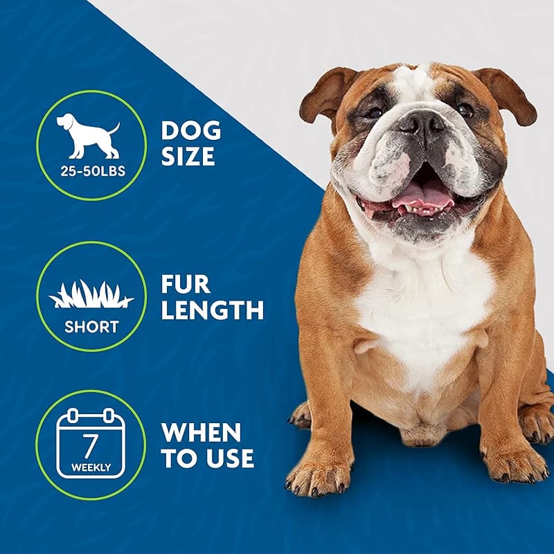 FURminator Medium Dog Undercoat deShedding Tool — image 4