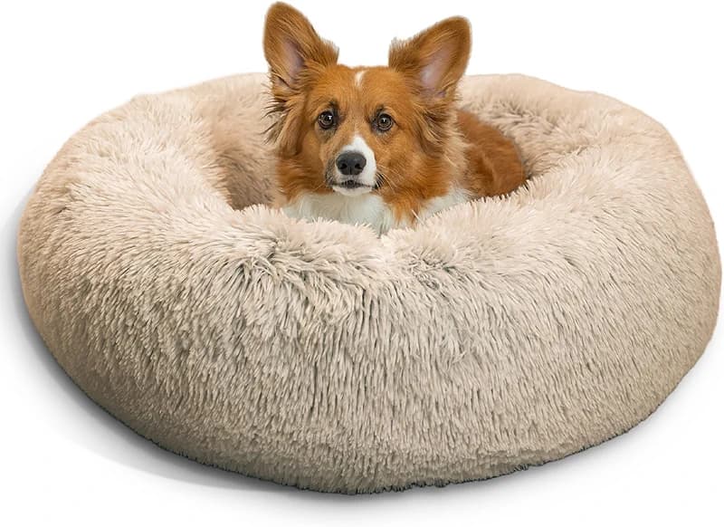 Best Friends by Sheri The Original Calming Donut Dog Bed for Medium Dogs — image 4