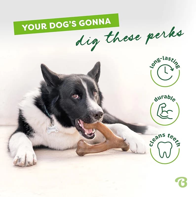 Benebone Wishbone Durable Dog Chew Toy for Aggressive Chewers — image 2