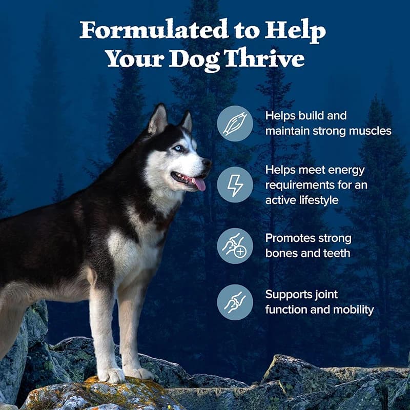 Blue Buffalo Wilderness Natural High-Protein Dry Food for Adult Dogs — image 6
