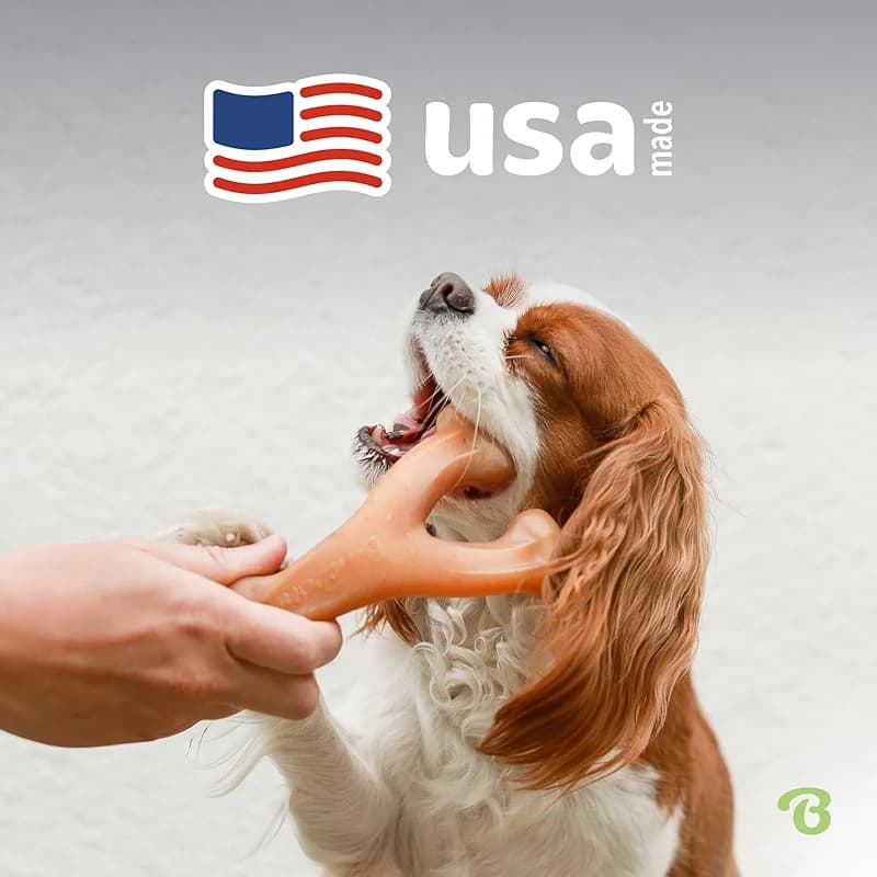 Benebone Wishbone Durable Dog Chew Toy for Aggressive Chewers — image 3